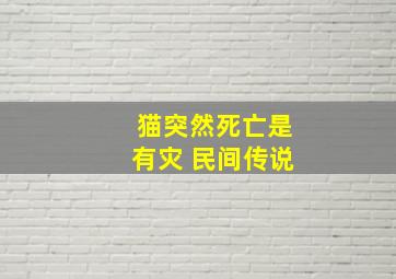 猫突然死亡是有灾 民间传说